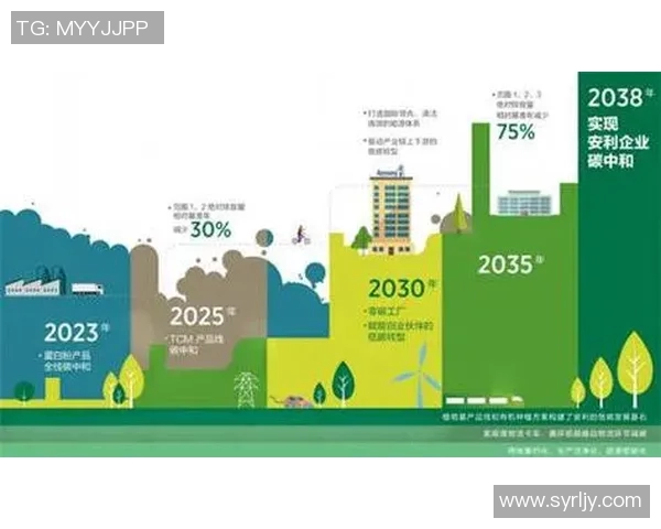 郑准的创新之路：从传统到现代的转型与发展探索