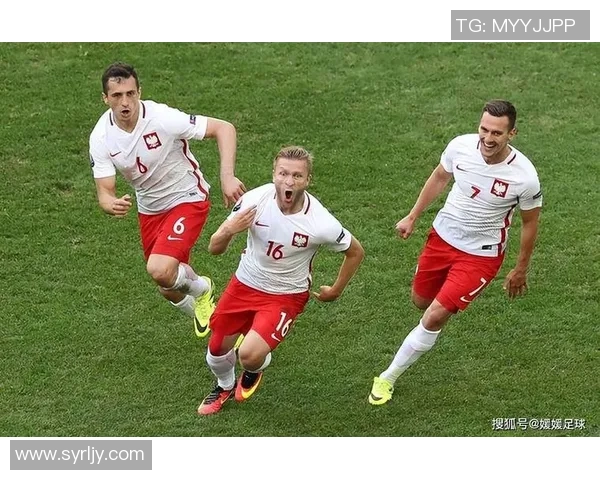 波黑与比利时激战成和比分揭晓双方实力对比分析