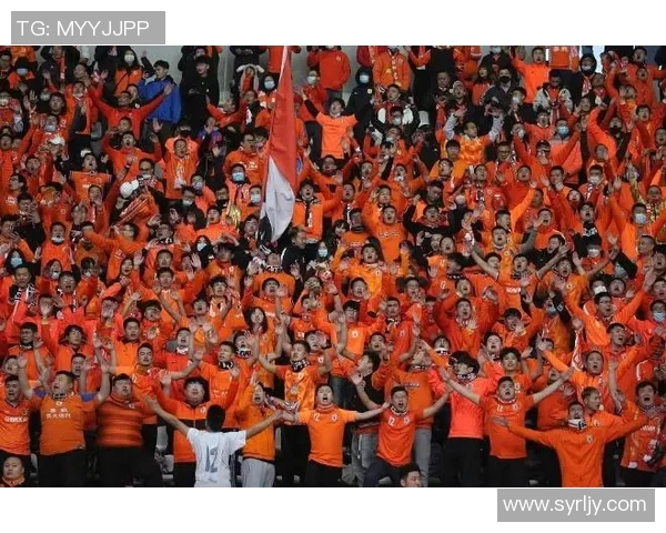 德国与荷兰足球竞彩因特殊原因取消引发球迷热议与关注