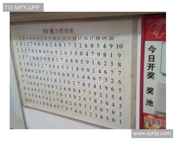 太湖字谜汇总与解析探讨,揭示字谜背后的文化与智慧之美